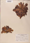 000000124-thumbnail.jpg