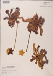 000000125-thumbnail.jpg