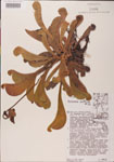 000000126-thumbnail.jpg