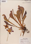 000000127-thumbnail.jpg