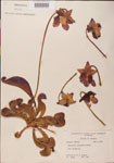 000000128-thumbnail.jpg