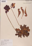 000000129-thumbnail.jpg