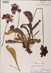 000000131-thumbnail.jpg