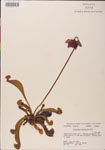 000000134-thumbnail.jpg