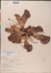 000000139-thumbnail.jpg