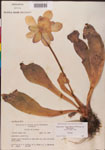 000000141-thumbnail.jpg
