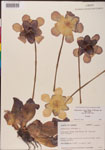 000000144-thumbnail.jpg
