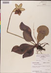 000000146-thumbnail.jpg