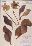 000000147-thumbnail.jpg