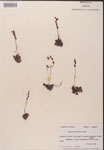 000000151-thumbnail.jpg
