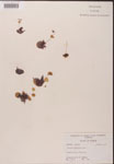 000000152-thumbnail.jpg