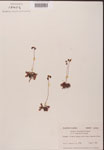 000000153-thumbnail.jpg