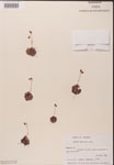 000000156-thumbnail.jpg