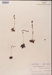 000000157-thumbnail.jpg