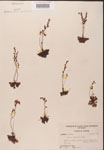 000000160-thumbnail.jpg