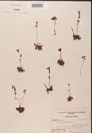 000000162-thumbnail.jpg