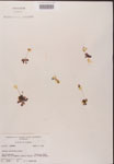 000000163-thumbnail.jpg