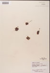 000000164-thumbnail.jpg