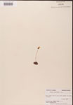 000000165-thumbnail.jpg