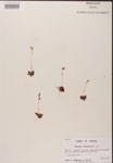 000000166-thumbnail.jpg