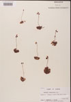 000000168-thumbnail.jpg