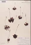 000000173-thumbnail.jpg