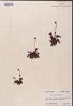 000000174-thumbnail.jpg