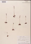 000000178-thumbnail.jpg