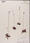 000000179-thumbnail.jpg