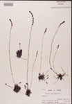 000000180-thumbnail.jpg