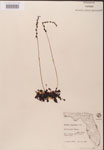 000000185-thumbnail.jpg
