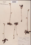 000000188-thumbnail.jpg