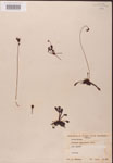 000000190-thumbnail.jpg