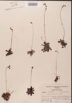 000000191-thumbnail.jpg
