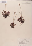 000000192-thumbnail.jpg
