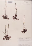 000000194-thumbnail.jpg