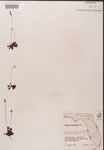 000000198-thumbnail.jpg