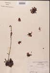 000000201-thumbnail.jpg