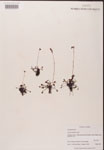 000000202-thumbnail.jpg