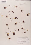 000000205-thumbnail.jpg