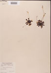 000000206-thumbnail.jpg