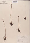 000000207-thumbnail.jpg