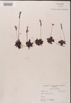 000000208-thumbnail.jpg