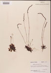 000000209-thumbnail.jpg