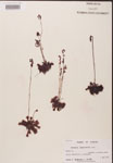 000000213-thumbnail.jpg