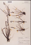 000000219-thumbnail.jpg
