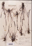 000000220-thumbnail.jpg