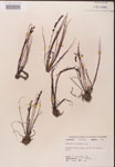 000000221-thumbnail.jpg