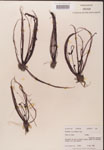 000000222-thumbnail.jpg