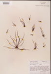 000000223-thumbnail.jpg